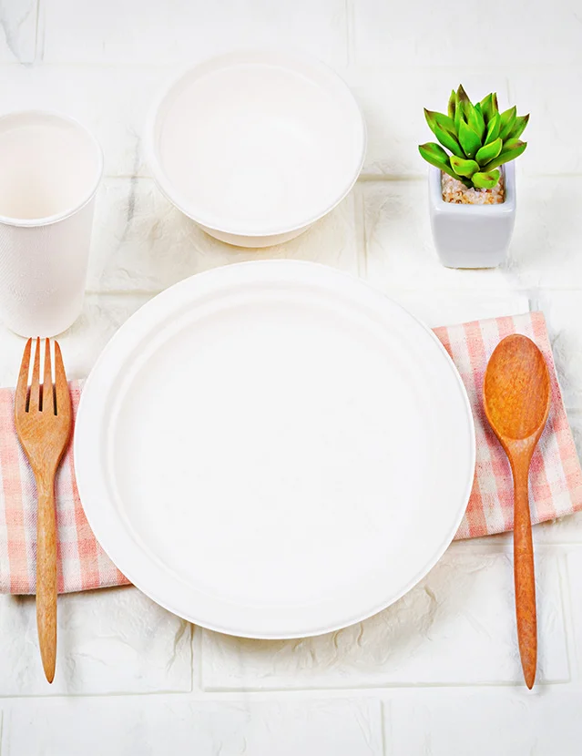 Why choose Eco-Friendly Disposable Plates?