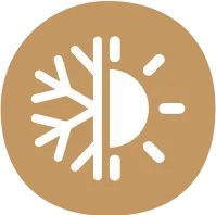 eco friendly disposable plates