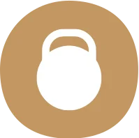 eco friendly disposable plates