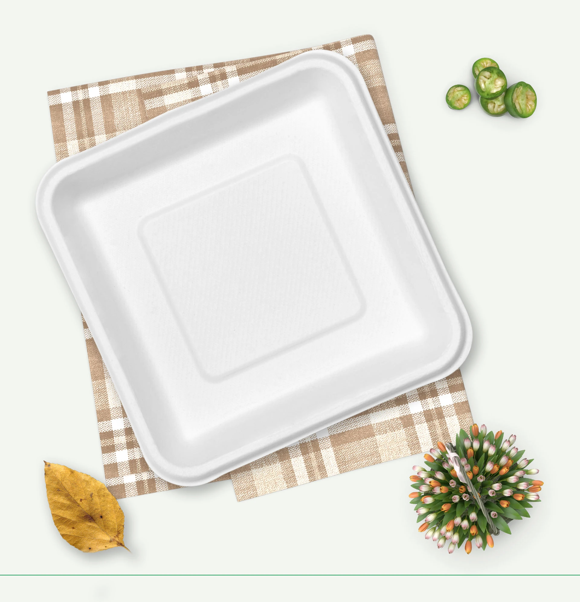 eco friendly disposable plates