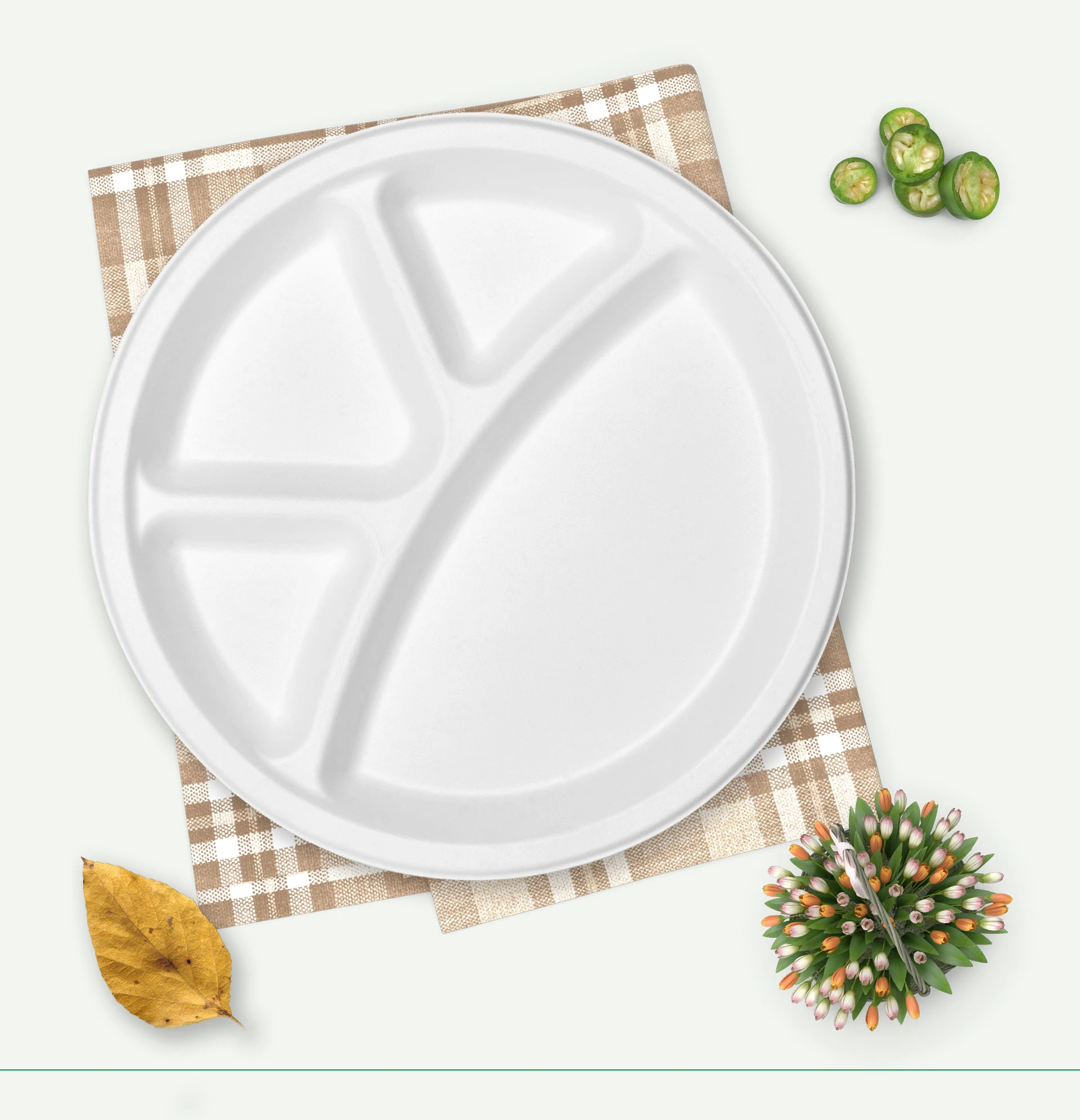 eco friendly disposable plates