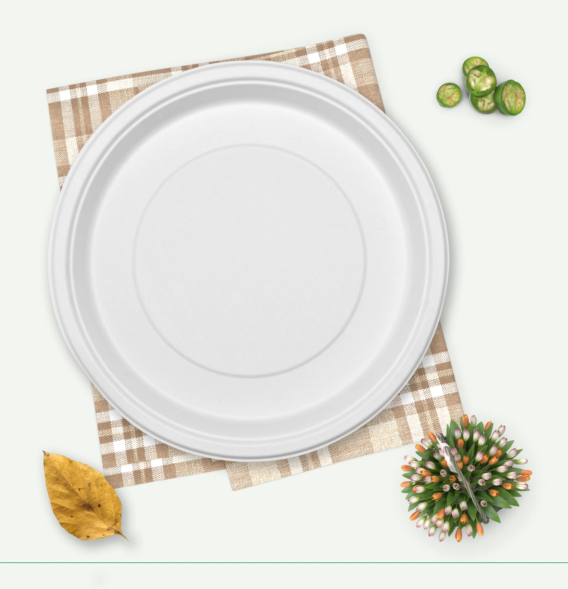 eco friendly disposable plates