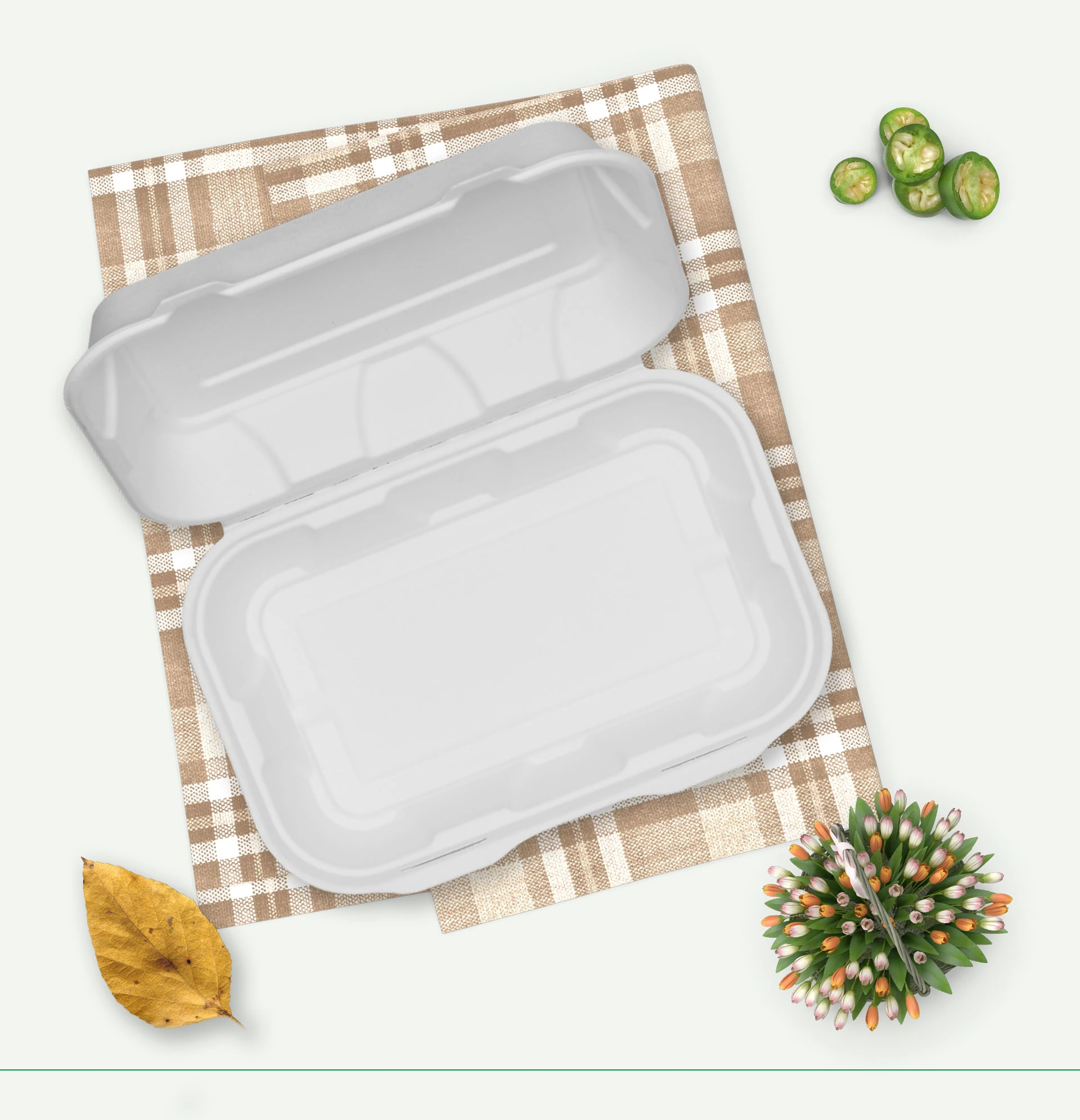 eco friendly disposable plates