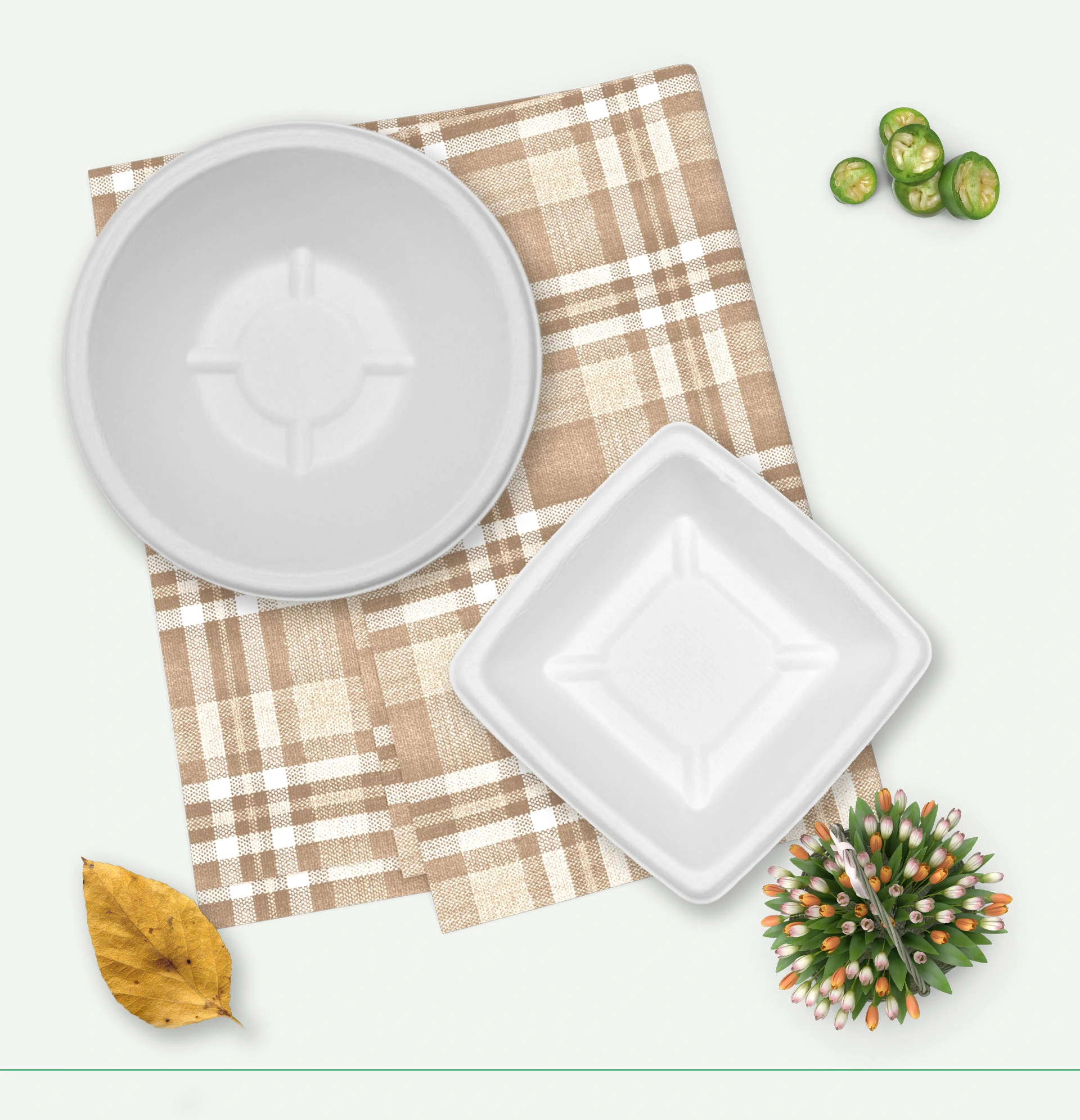eco friendly disposable plates