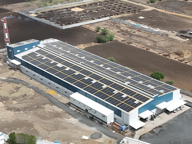 eco friendly disposable plates