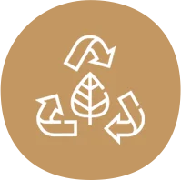 eco friendly disposable plates exporters