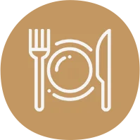 eco friendly disposable plates exporters