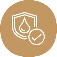 eco friendly disposable plates exporters