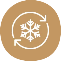 eco friendly disposable plates exporters