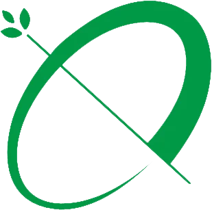 eco friendly disposable plates