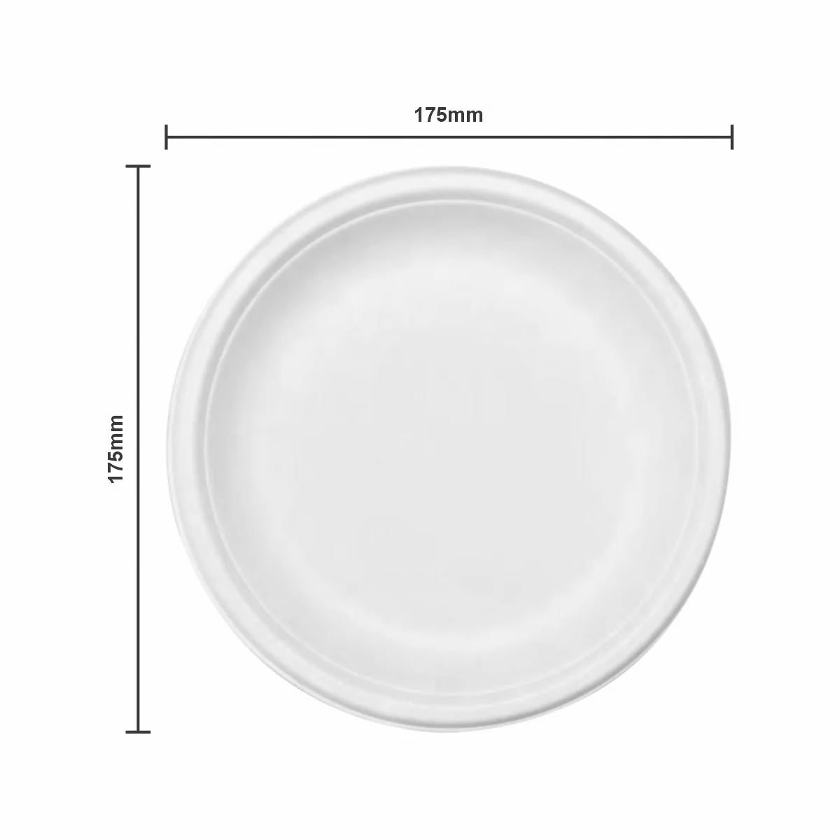 disposable plates small