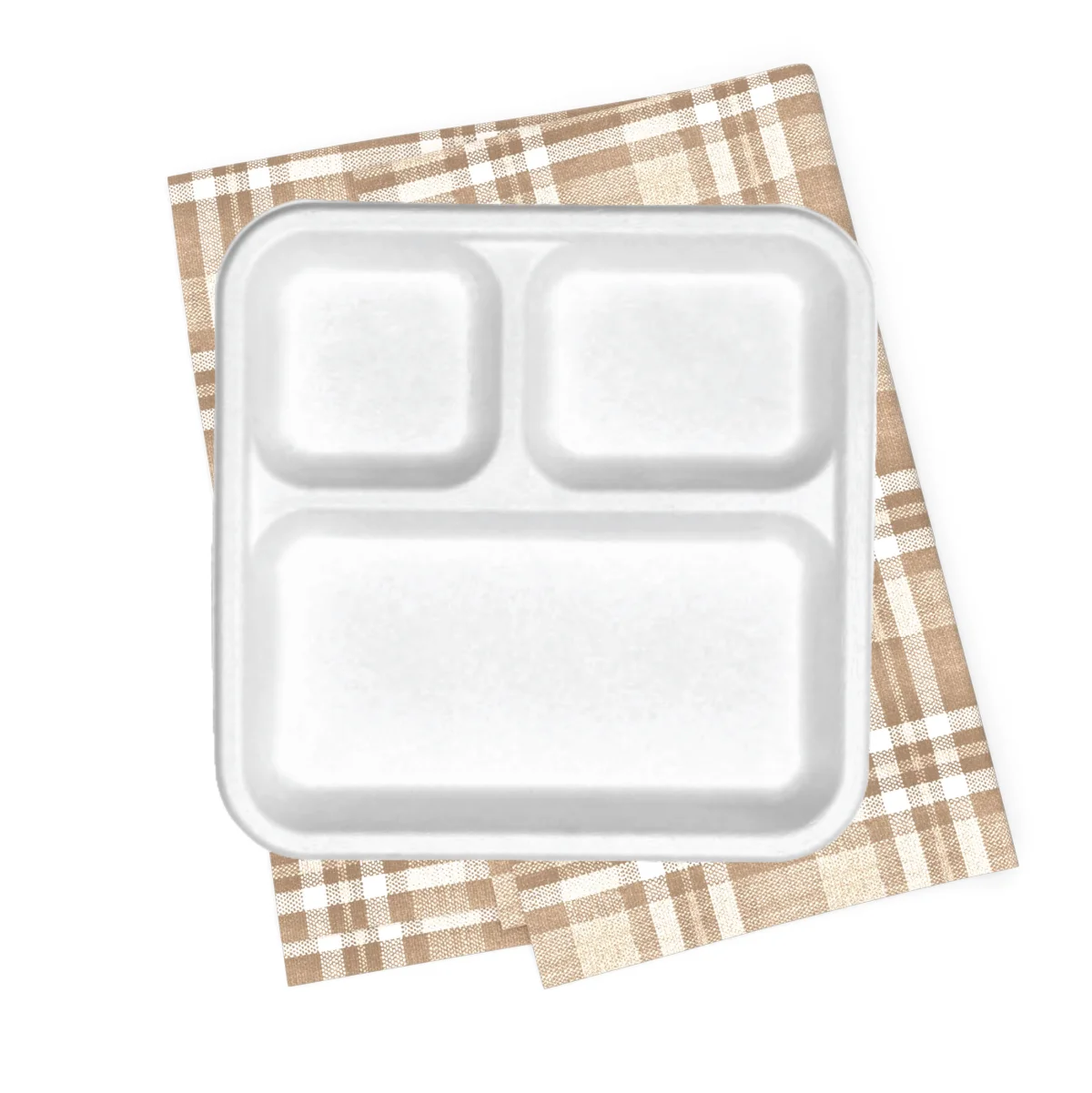 Eco-Friendly Disposable Plates 3 CP